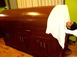 Nepal Ayurveda Home，位于加德满都的酒店