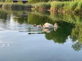 斯莫利湖滨旅馆