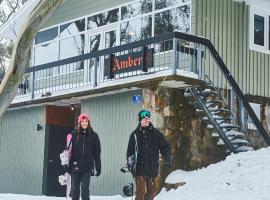 布勒山琥珀旅馆，位于布勒山的山林小屋