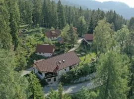 Guesthouse Planinski Dom Majerhold