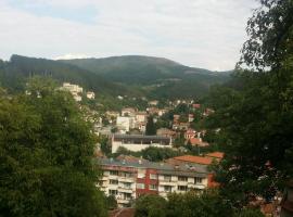 Трънската къща，位于Trŭn的住宿加早餐旅馆