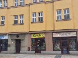 Apartmán na náměstí，位于Soběslav的酒店