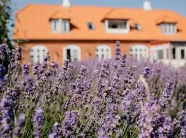 荣主教区长住宿加早餐旅馆
