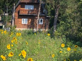 Vacationhome in the vineyards，位于维也纳卡伦堡山附近的酒店