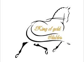 King of Gold Stables appartement met stalling voor 5 paarden，位于聚滕达尔的公寓