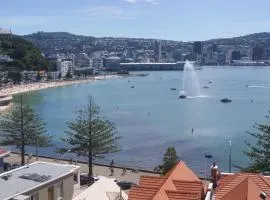 Oriental Bay At Its Best