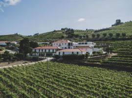 Casal dos Capelinhos - Douro，位于圣玛尔塔迪佩纳吉昂的酒店