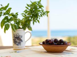 House Almyra，位于拉卡尼亚的酒店