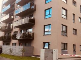 Oja 118 Apartment，位于派尔努的酒店