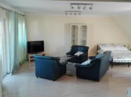 Apartament 150m2 SZCZYTNO Mazury City CENTER Lake View