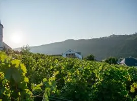 Weingut Johanneshof