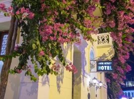 Antik Beyazit Hotel，位于哈塔伊的酒店