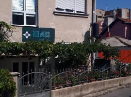 Edelweiss Hostel，位于什蒂普的酒店
