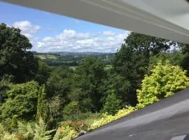 Dwynant - A Room with a View