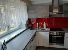 Peter's Montagezimmer