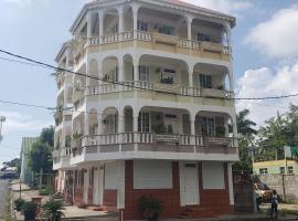 Unit 3 Private Apartment - Roseau，位于罗索的酒店