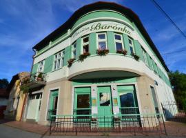 Baronka Bed & Breakfast & Bistrot，位于Betliar的住宿加早餐旅馆