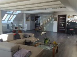 Apartamenty Holiday Slaw jacuzzi bilard