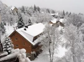 Studio 4 pers vue magnifique 100m des pistes