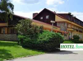 Hotel Šumava，位于Zdíkov的酒店