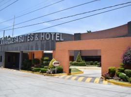 Hotel & Suites La Marquesa，位于托卢卡的酒店