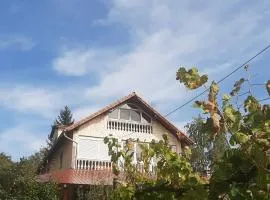 Aleksandar Vila BR