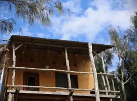 Tree House Cottage, Ocean View