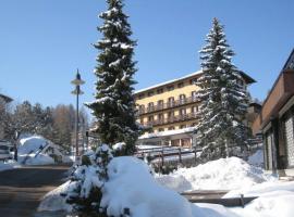Life Hotels Des Alpes，位于福尔加里亚的酒店