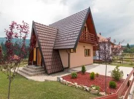 Mountain house Popović Tara