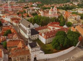 Domus Maria，位于维尔纽斯Vilnius Old Town的酒店