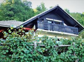 Vineyard Cottage Zajc，位于Semič的度假短租房
