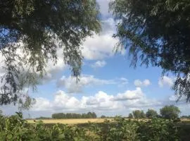 剧院伯格旅馆