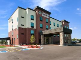 Cobblestone Hotel & Suites Appleton International Airport，位于尼纳的酒店