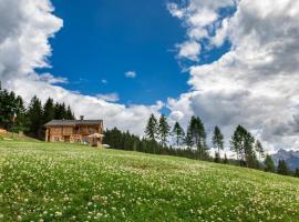 Rifugio de Dòo，位于San Nicolò di Comelico的木屋