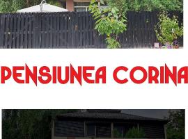 Pensiunea Corina Boutique，位于克拉约瓦的酒店