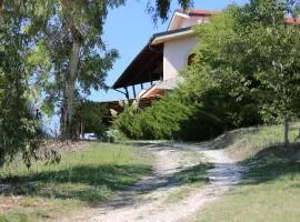 Manuel suites