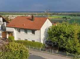 Ulmer Münster Blick
