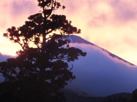 华之宿日式旅馆，位于箱根的酒店