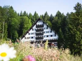 Hotel Tisa Pohorje