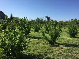 Villa Dolne Saliby，位于Dolné Saliby的酒店