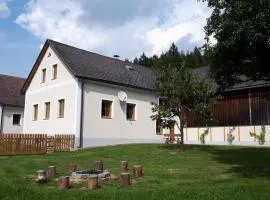 Ferienhaus Buxbaum