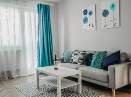 Business and Travel Central Apartment，位于蒂米什瓦拉的酒店