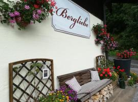 Haus Bergliebe，位于费尔兹姆斯Schwaigalmlift附近的酒店