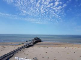Beautiful Top Floor Seaview Studio Apartment B'berge-Bruges，位于布兰肯贝赫的酒店