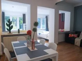 The garden flat