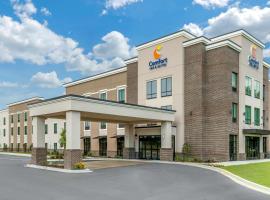 Comfort Inn & Suites，位于佛罗伦萨的酒店
