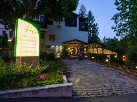 Family Park Hotel Kyoshkove，位于舒门的酒店