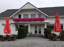 Vila Vlad，位于札勒乌的酒店