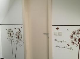 APARTMA AJDA，位于克拉尼的酒店