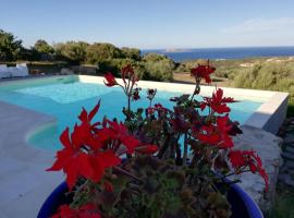 La Sima villa con piscina vista mare San Pantaleo Sardegna，位于圣帕特雷拉的度假屋